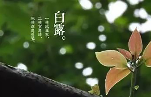 “白露”養(yǎng)生：宜吃酸食養(yǎng)肝