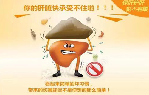 做好肝臟養(yǎng)護(hù)工作，對傷肝行為說“不”