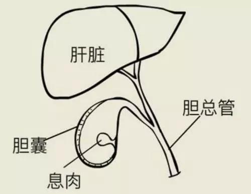 微信圖片_20191230140607.jpg