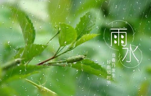 雨水過后應(yīng)該如何養(yǎng)肝？
