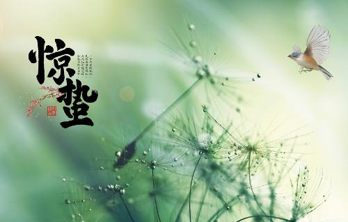 “驚蟄”不“驚”肝，妙招隨我看