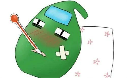 網(wǎng)事醫(yī)讀丨63歲蔡明“膽被摘除”敲響膽囊健康警鐘